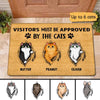 Fluffy Cats Tearing Visitors Must Be Approved Personalized Doormat