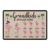 Grandkids Spoiled Here Flamingo Personalized Doormat