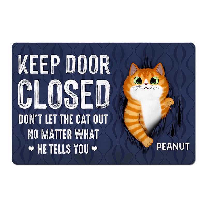 Keep Door Closed Fluffy Cat Tearing - Personalized Doormat