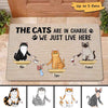 The Cat In Charge Fluffy Cat Personalized Doormat