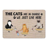 The Cat In Charge Fluffy Cat Personalized Doormat