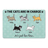 The Cat In Charge Walking Cat Personalized Doormat