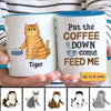 Put Coffee Down & Feed Us Fluffy Cats Personalized Coffee Mug