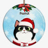Fluffy Cat Christmas Portrait Personalized Decorative Circle Ornament