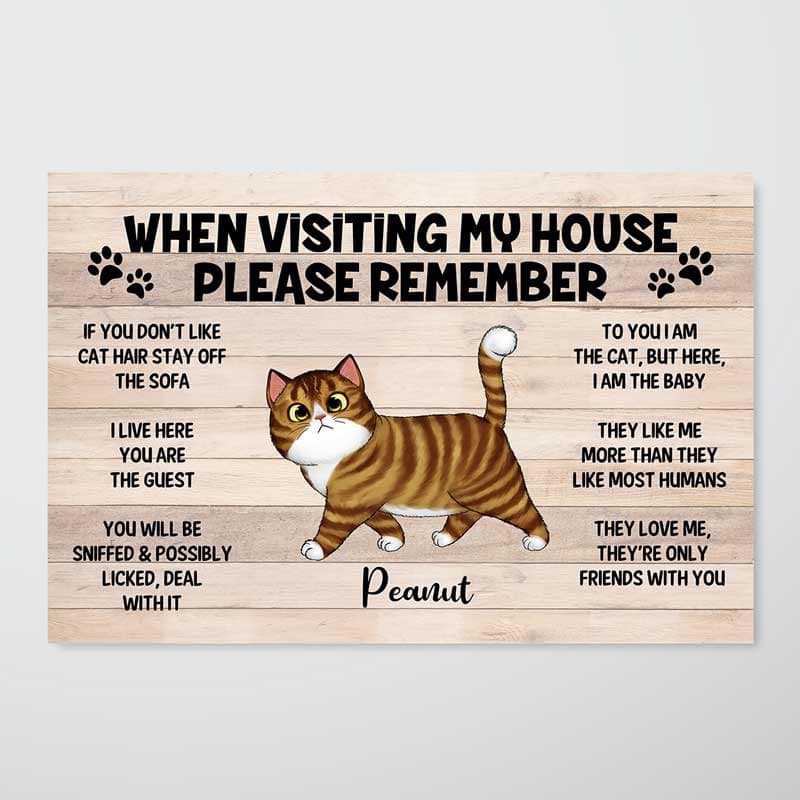 Please Remember When Visiting Cats House Personalized Horizontal Poster