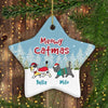 Cat Christmas Walking In The Snow Personalized Decorative Star Ornament