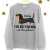 Dog Dachshund Got Friends In Low Places Personalized Dog Sweatshirt
