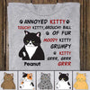 Annoyed Kitty Cats Personalized Shirt