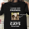 I Asked God For Friends Cat Personalized Shirt