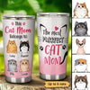 Cat Mom Fluffy Cat Personalized Tumbler