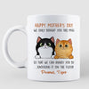 Annoy You Fluffy Cat Gift For Cat Lovers Personalized Mug